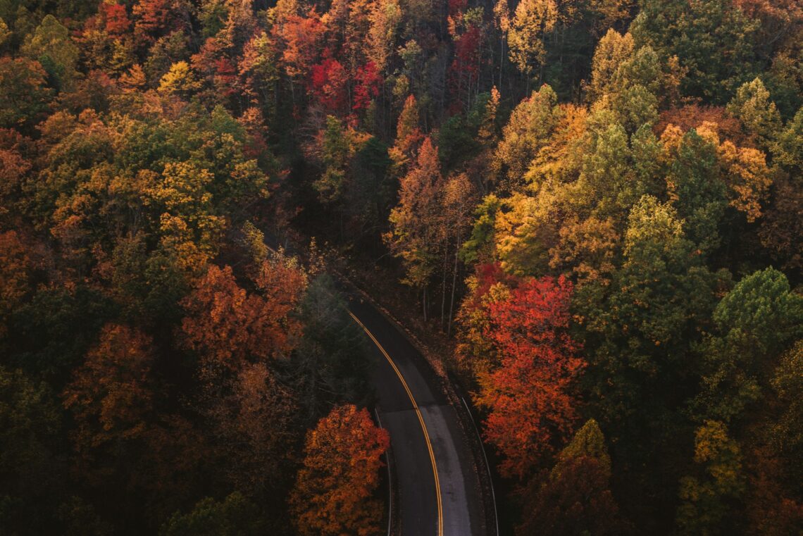 Autumn drive stock photo by Chad Madden