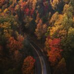 Autumn drive stock photo by Chad Madden